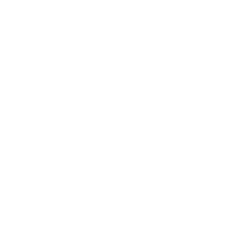 19Centurion81's emblem