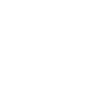 Vernichter2399's emblem