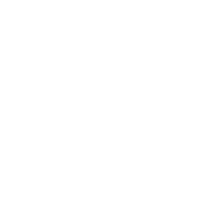 Mr_RoBoT2944's emblem