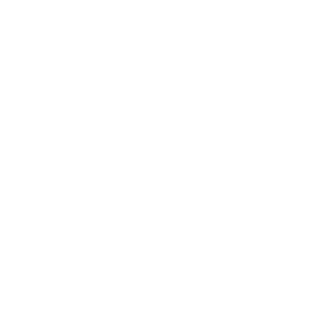 B0ngcat9's emblem