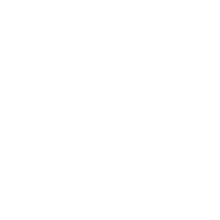 FURIA____HACKER's emblem