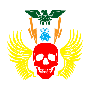 Vizualli's emblem