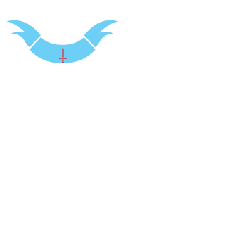 totohow's emblem