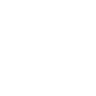 BakkerX's emblem