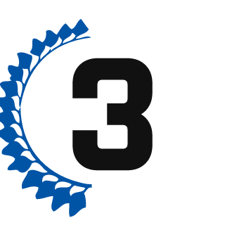 DiiMeNsiioNzZ's emblem