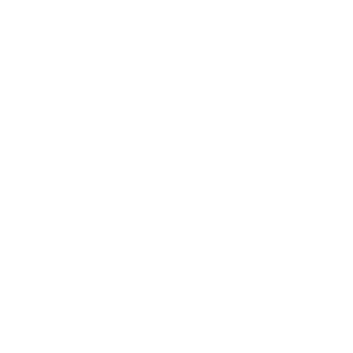 Slang_Boy2's emblem