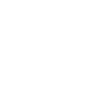 HammrDude123's emblem