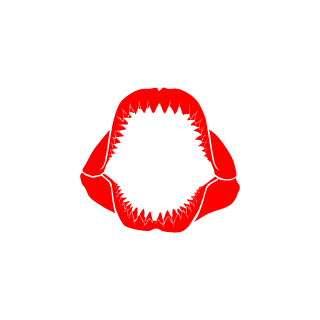 pp-200000's emblem