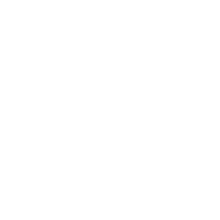 1L3LECO's emblem