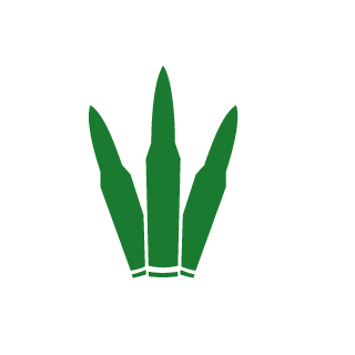 magistr15's emblem