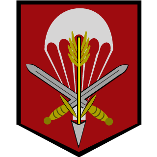 601SpecialForcesGroup's emblem
