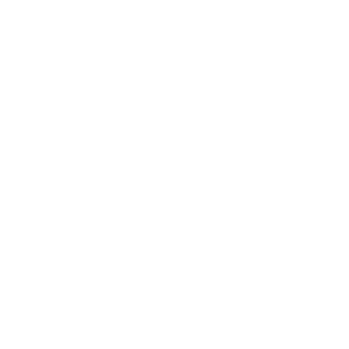 Zero_ToIerance's emblem