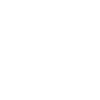 szesnasty16's emblem