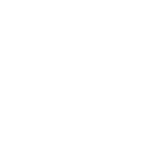 Ijin 606's emblem