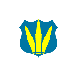 5tpid5's emblem