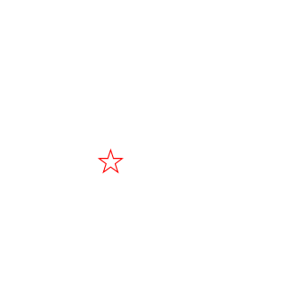 RomanV13's emblem