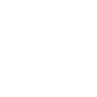 NBJoeShi's emblem