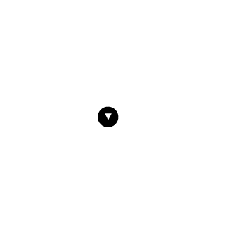 Raytay286's emblem