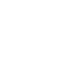 Flowers1987's emblem