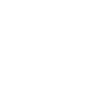 Birne37's emblem