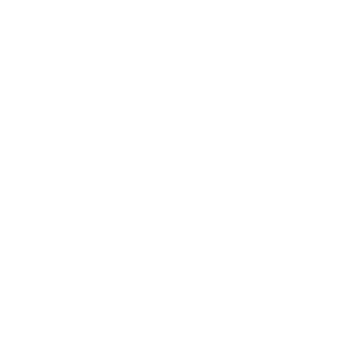 SideWinder_rC's emblem