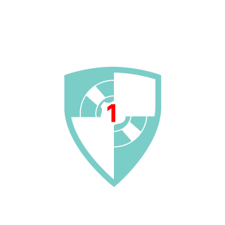 Wings-Jug's emblem