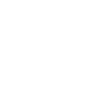 Aleg11543's emblem