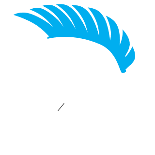ArmeniusArrow's emblem