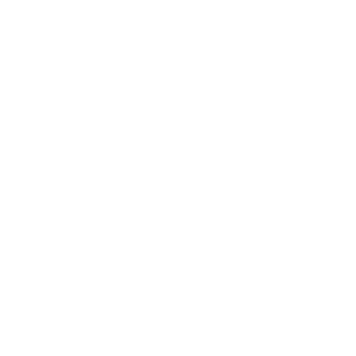 AndroglesXx's emblem