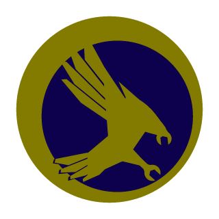 Blitz841's emblem