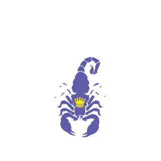 R4Y_FENIX's emblem