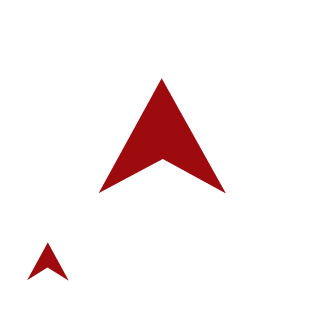 SwemmiPLZ's emblem