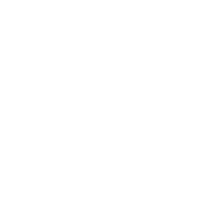 FrisK_SurgE's emblem