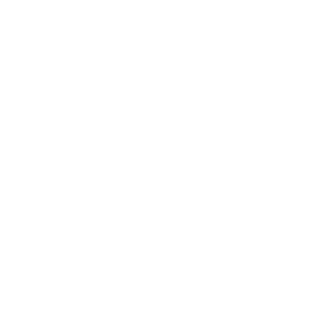 Syncreg's emblem