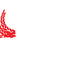 NUFUN's emblem
