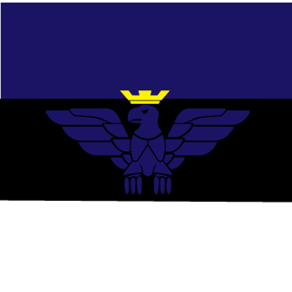 TacticalTaco1911's emblem