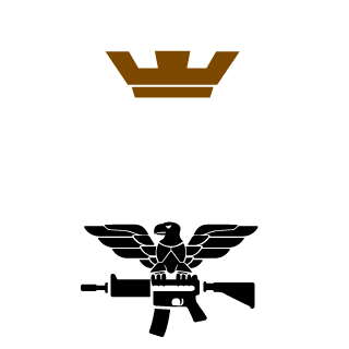 APMaster6579's emblem