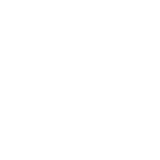ReaperBLN's emblem
