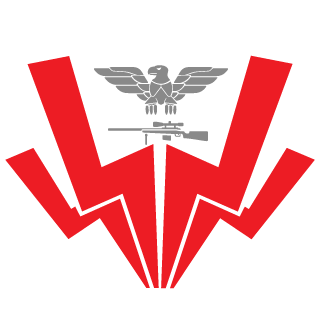 cp_coxinha's emblem