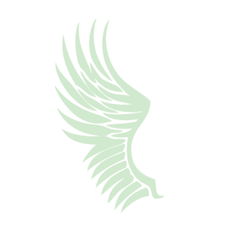 BGIYANG's emblem