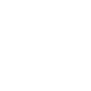 theVadimUS's emblem