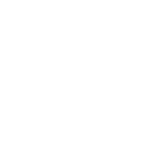 falostudio's emblem