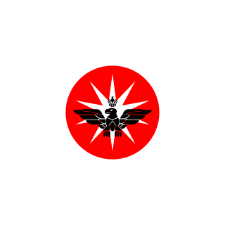Cocojumbo5677's emblem