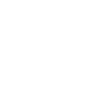 NOISEOFCL's emblem