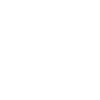 CrashedMurilo's emblem