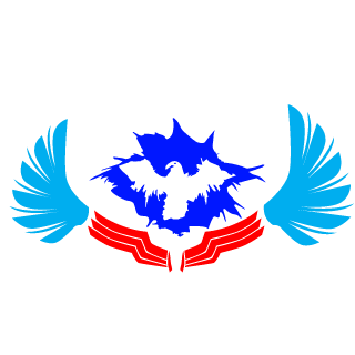 Hetzer401's emblem