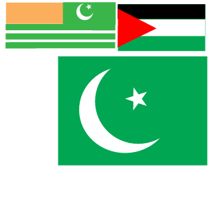 muddasir14's emblem