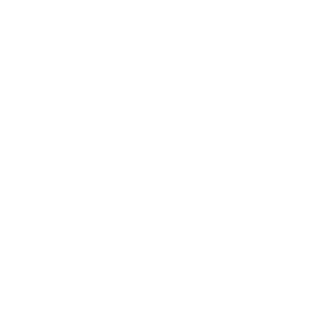 Promptto's emblem