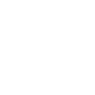 am4zinghors3's emblem