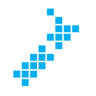 NZGamer's emblem